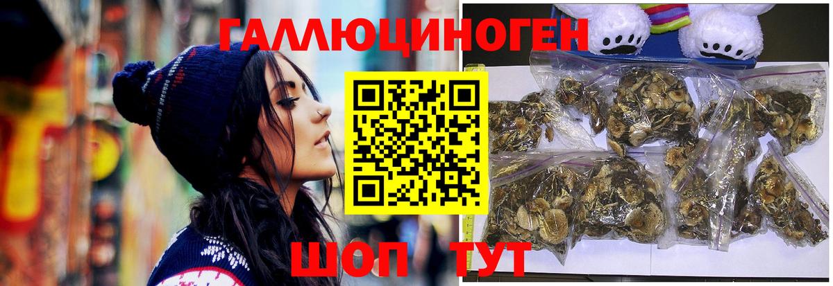 Тихвин  Псилоцибиновые грибы GOLDEN TEACHER  Вход с VPN 