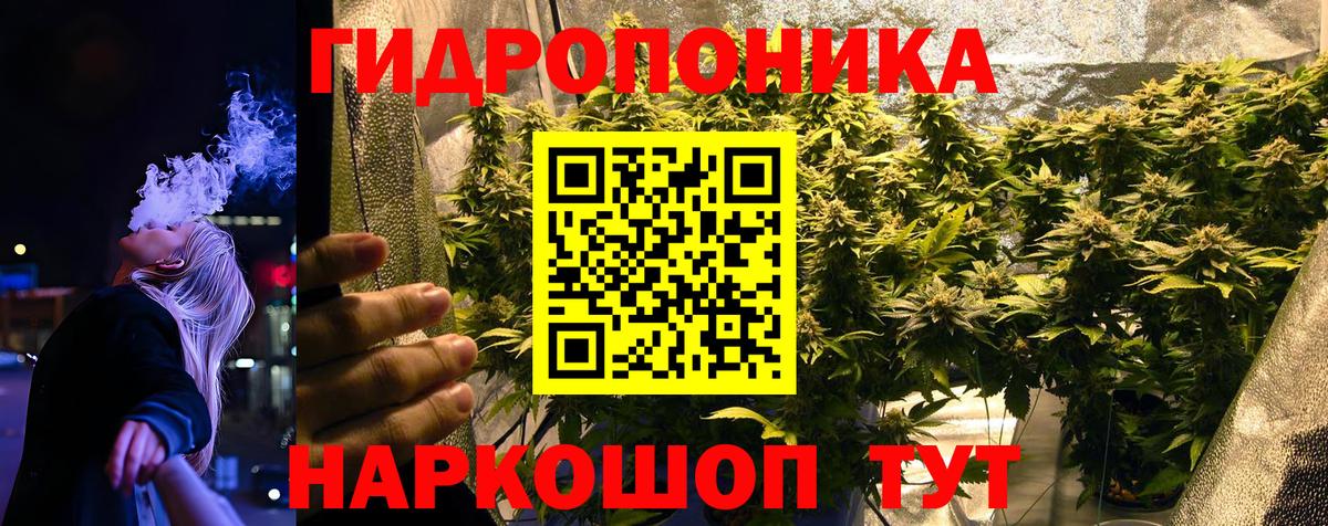 Канабис White Widow  Вход с VPN  Бошки марихуана семена  МАРИХУАНА MAZAR  Тихвин 